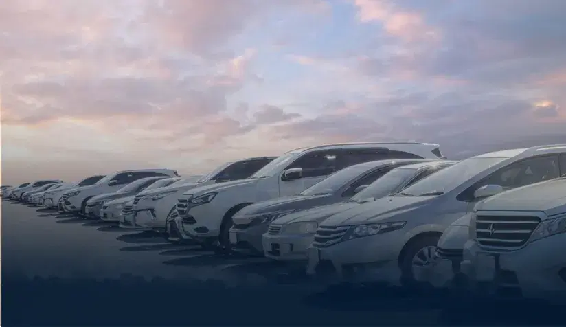 Rows of Everest Fleet cars parked under an evening sky
