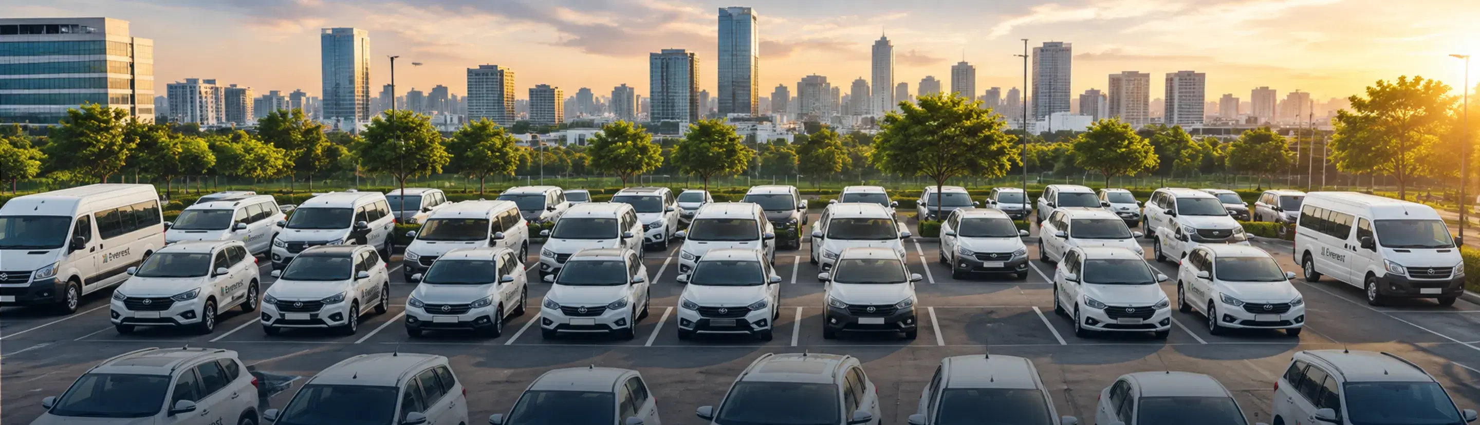 Rows of white Everest cars in front of a city skyline